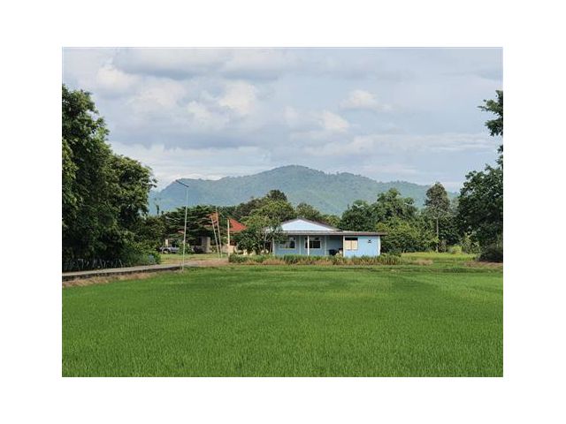 ที่นา 2 ไร่  วิวเขา บรรยากาศดี  ท้องทุ่งเหมาะพักผ่อน