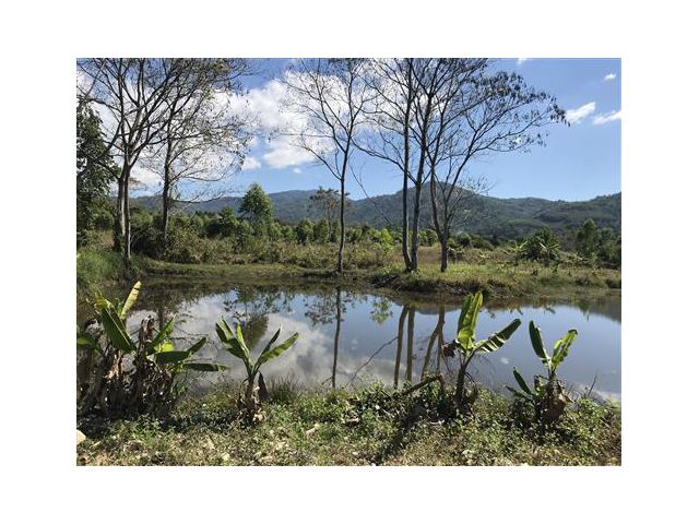 ที่ดิน วิวเขาแปลงขนาดกลางๆกำลังดี