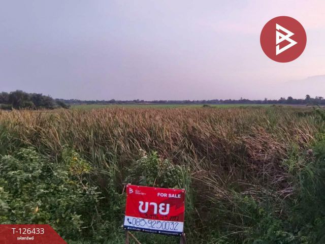 ขายที่ดิน เนื้อที่ 3 งาน 90.3 ตารางวา ดอนตูม นครปฐม