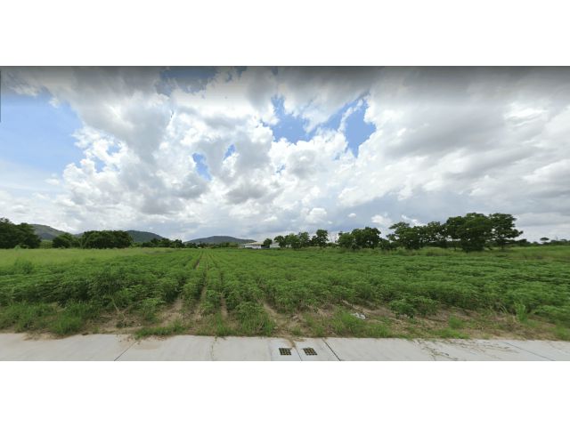 L954 ขายที่ดินสีม่วงลาย 10 ไร่ ศรีราชา ชลบุรี