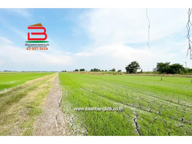 ที่ดินเปล่า เนื้อที่ 5 ไร่ คู้คลองสิบ แยก12 ถนนคู้คลองสิบ แขวงคลองสิบ เขตหนองจอก