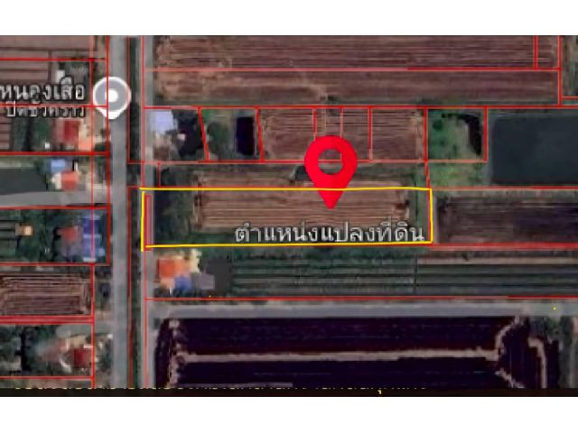 ขายด่วน ที่ดินเปล่า 8 ไร่ แปลงสวย ถมแล้วบางส่วน คลอง 8 หนองเสือ ปทุม