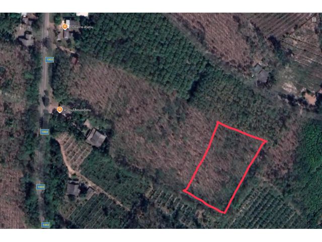 แบ่งขายที่สวนยาง ต.ห้วยแร้ง อ.เมือง จ.ตราด