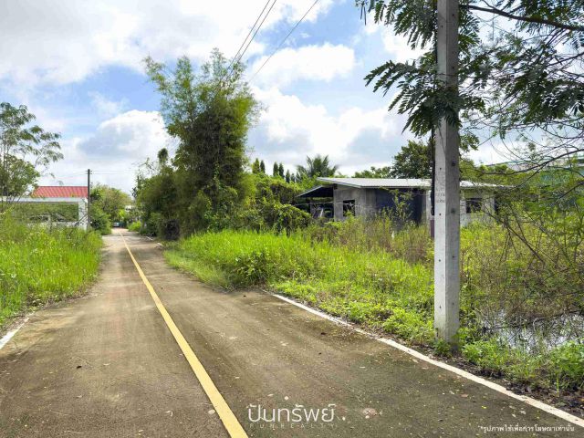 ขาย ที่ดิน 275.5 ตร.ว. ต.ป่าแดด อ.เมือง จ.เชียงใหม่