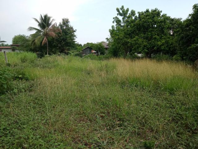 ที่ดิน 1 งาน 22 ตรว ติดถนนทางหลวงเลย-เชียงคาน โฉนดเหมาะกับการค้าขาย ทำเลดี