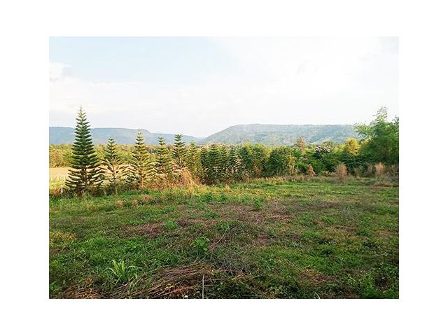 ที่สวยมาก วิวเขาใกล้ถนนลาดยาง ติดถนนโครงการคอนกรีตเข้าออกสะดวก เขตตัวอ.ภูเรือ บรรยากาศดีเหมาะกับบ้านพักตากอากาศมาก