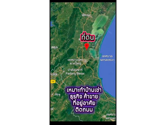 ขายสวนปาล์ม บางเหรียง