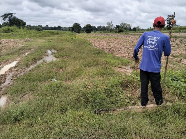 ขายที่ดินที่ไร่ที่นา เนื้อที่รวมประมาณ 16 ไร่ ต.ปะโค อ.กุดจับ จ.อุดรธานี