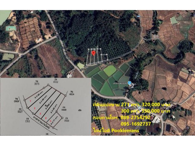 ที่ดินแบ่งขาย 300 ตรว.ใกล้ภูทอก อ.เชียงคาน จ.เลย