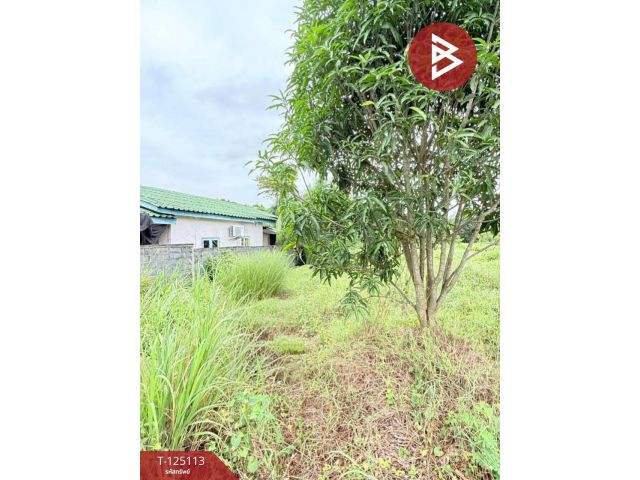 ขายที่ดิน 1 ไร่ 23 ตารางวา ต.หนองตะพาน อ.บ้านค่าย จ.ระยอง