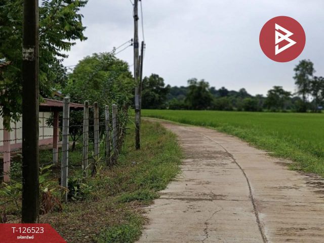 ขายที่ดินพร้อมสิ่งปลูกสร้าง เนื้อที่ 2 ไร่ 3 งาน 50 ตร.วา หนองฉาง อุทัยธานี