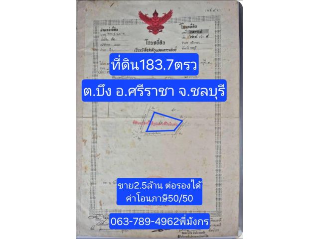 #ขายด่วนๆ #เสนอขายบ้านชั้นเดียวบึงศรีราชาชลบุรี #ทำเลค้าขายบึงศรีราชาชลบุรี ที่ดิน183.7 ตรว ต.บึง อ.ศรีราชา จ.ชลบุรี