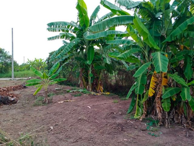 L956 ขายที่ดินถมแล้ว 218 ตรว เมืองฉะเชิงเทรา