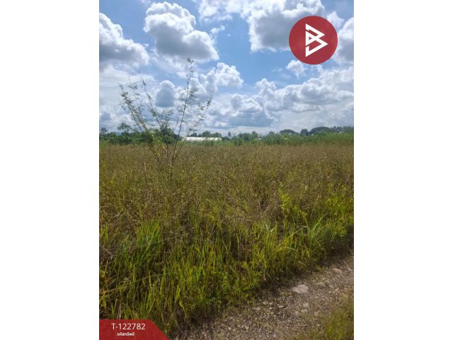 ขายที่ดินเปล่า เนื้อที่ 1 ไร่ 50 ตารางวา เวียงชัย เชียงราย