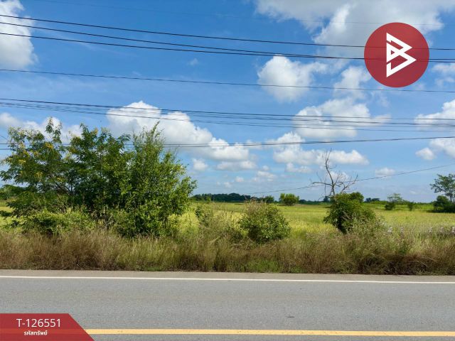 ขายที่ดิน เนื้อที่ 40 ไร่ 73 ตร.วา เนินขาม ชัยนาท