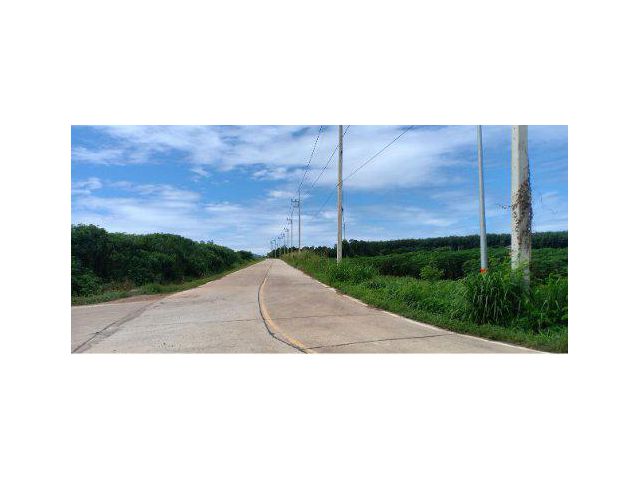 ขายที่ดิน 99 ไร่ ใกล้นิคมฯโรจนะหนองใหญ่ ใกล้ด่านเก็บเงินมอเตอร์เวยสาย359 อ.หนองใหญ่ จ.ชลบุรี