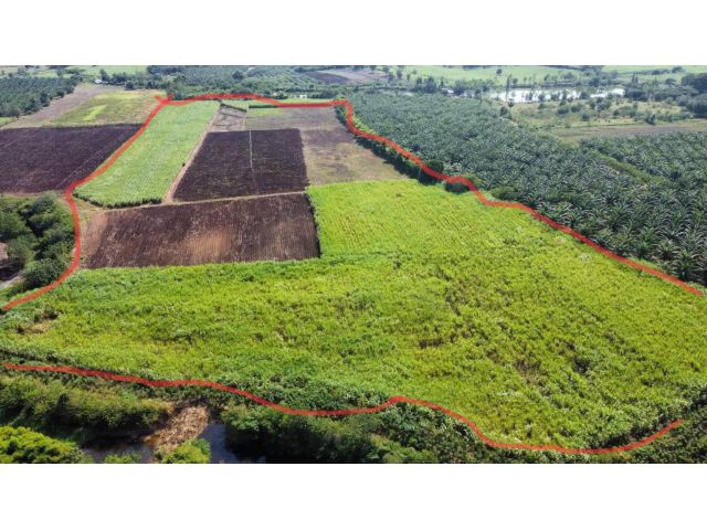 L961 ขายที่ดินวิวภูเขา 56 ไร่ หน้ากว้าง 173 เมตร ศรีเทพ เพชรบูรณ์