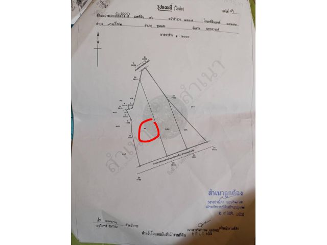 ขายที่ดิน 8ไร่1งาน95ตารางวา
