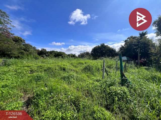 ขายที่ดินเปล่า เนื้อที่ 98 ตร.วา หางดง เชียงใหม่