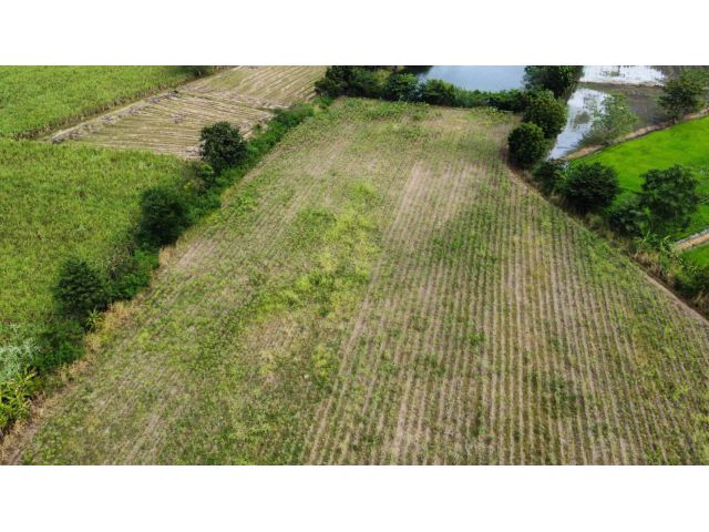 L962 ขายที่ดินสวยทำเลดี 20 ไร่ หน้ากว้าง 160 เมตร ศรีเทพ เพชรบูรณ์