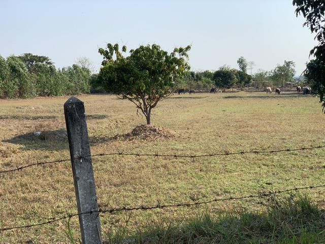 ขายที่นา4ไร่ๆละ250,000 บ้านหนองแวงอำเภสมเด็จ