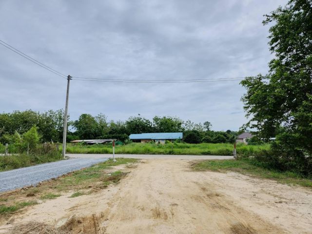 L964 ขายที่ดินถมแล้ว 2 ล็อกๆละ 60 ตรว พนัสนิคม ชลบุรี