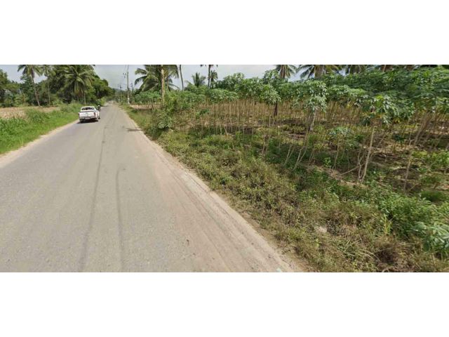 ขายที่ดิน 16 ไร่ ติดถนนชุมชนเข์ขลองซอย4 ต.หนองขาม อ.ศรีราชา จ.ชลบุรี