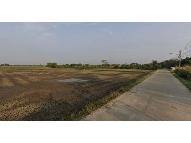 ขายที่ดิน 11 ไร่ ต.หนองบัว อ.บ้านโพธิ์ จ.ฉะเชิงเทรา