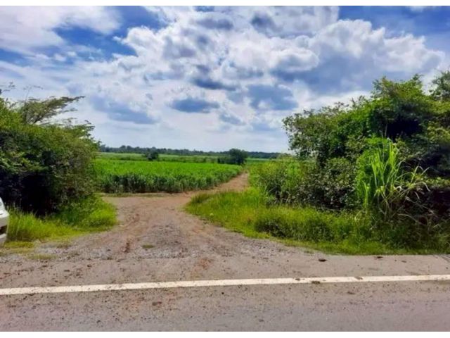 R68-084ขาย​ที่ดิน​ติดถนนลาดยางไฟฟ้าสามเฟส ต.ศิลาทิพย์ อ.ชัยบาดาล จ.ลพบุรี เนื้อที่​ 70​ ไร่ขายไร่​ละ​ 230,000 บาทโอน​ฟรี- ที่ดิน​พื้นที่​สีม่วง - โ