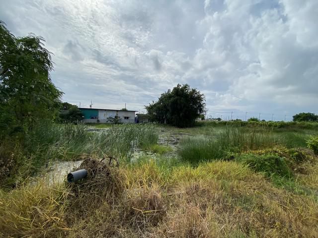 ขายที่ดินเปล่า ทำเลดี เจ้าของขายเอง ตำบลคลองด่าน อำเภอบางบ่อ สมุทรปราการ