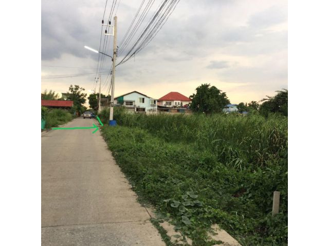 ที่ดินปทุมธานี บางเดื่อ 378 วา ที่ดินวัดหนองปรง ห่างถนนใหญ่กรุงเทพปทุมธานี 1.5 กม.ใกล้ถนนราชพฤกษ์ แยกต่างระดับวัดไพร่ฟ้า