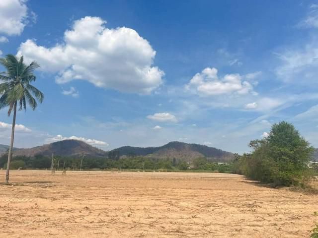 ขายที่ดินใกล้ท่าเรือแหลมฉบังชลบุรี บนเนื้อที่ดิน 51-1-62.4 ไร่