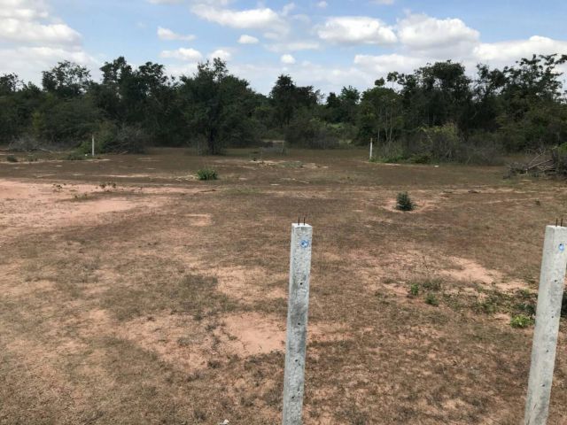 ขายที่ดินทำเลเมืองใหม่ ใกล้ความเจริญ ใจกลางโคกกรวด นครราชสีมา 200 ตรว.