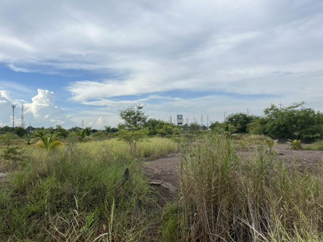 ขายที่ดินติดถนนสายเอเชีย หน้านิคมไฮเทค บางปะอิน 098 7755 808