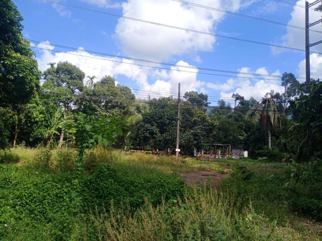 !!!ที่ดินติดถนนสุขุมวิทสี่เลนเส้นคลองนารายณ์!!! เสนอขายสวนผสมทุเรียนและมังคุด เนื้อที่ 2 ไร่ ตำบลคลองนารายณ์ อำเภอเมือง