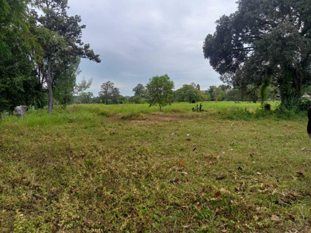 ที่นาบ้านปะอาว เนื้อที่ 5 ไร่ 34 ตารางวาไร่ละ 150,000 โฉนด พร้อมโอน