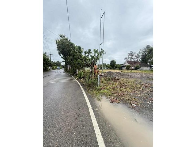 ขายที่ดิน55ว. 790ส. บ้านทุ่งยาว ต.สันทรายหลวง สันทราย เชียงใหม่