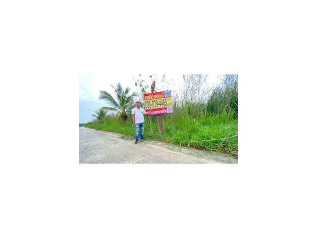 ร้อนเงินVายถูก ที่ดินบ้านกลาง 244 ตารางวา ติดถนนคอนกรีตสาธารณะ ซอย โม่ฮวด 7 เมืองปทุมธานี