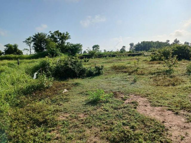 ขายที่ดิน2งานกว่าที่ว่างเปล่าแบ่งขายได้มีไฟฟามีน้ำประปาในชุมชนติดถนนลาดยางบ้านโทกหัวช้างอำเภอเมืองจังหวัดลำปางทำธุรกิจได