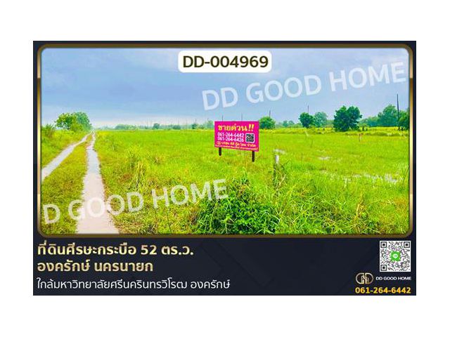 DD-004969 ที่ดินศีรษะกระบือ 52 ตร.ว. องครักษ์ นครนายก ใกล้มหาวิทยาลัยศรีนครินทรวิโรฒ องครักษ์