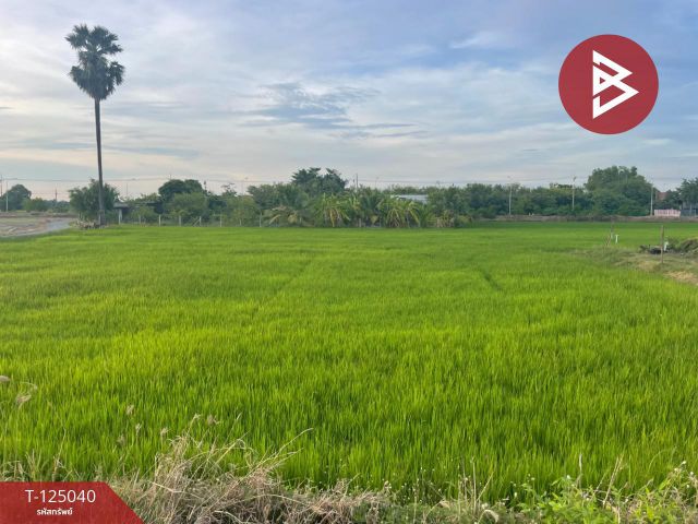 ขายที่ดิน เนื้อที่ 15 ไร่ ศรีประจันต์ สุพรรณบุรี