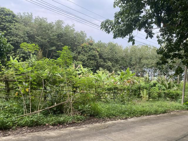 ขายที่ดินสวน1ไร่2งาน ติดถนน อยู่ บางบุตร บ้านค่าย ระยอง