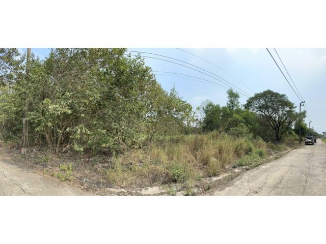 ขายที่ดินในหมู่บ้าน เคซี การ์เด้นท์โฮม