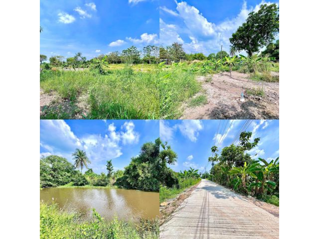 (ผ่อนได้) ขายสวนมะม่วง 1-2 งาน ต.ดงละคร อ.เมือง จ.นครนายก ติดคลองส่งน้ำ