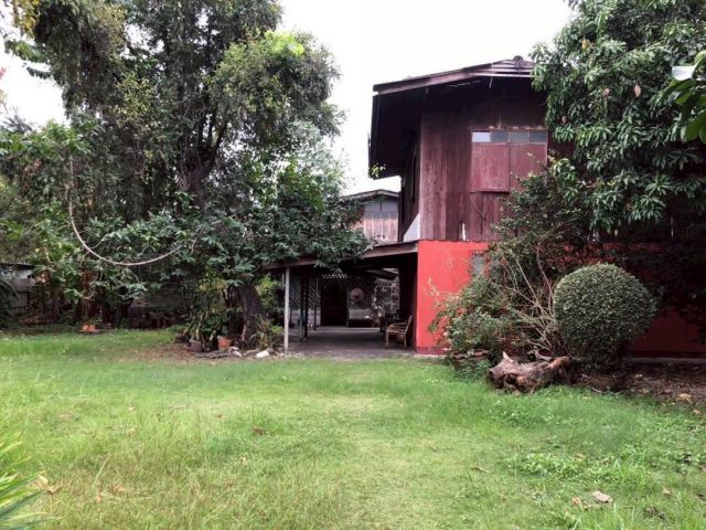 R68-048ขายที่ดินใจกลางสุขุมวิท 48 ไปพระราม 4 ได้ ใกล้ BTS.พระโขนง เนื้อที่ 146 ตารางวาขายตรว.ล่ะ 275,000 บาท โอนฟรี พร้อมบ้านไม้