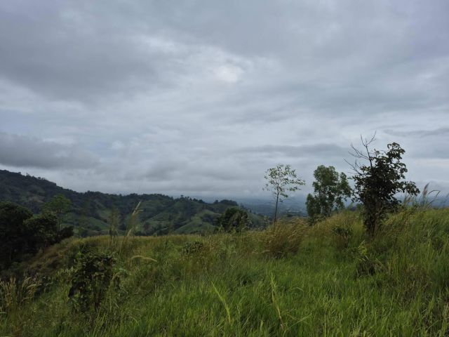 ด่วนที่สุด ขายที่ดินสำหรับสร้างโรงแรม รีสอร์ท ฟาร์มเกษตร จำนวน 87 ไร่ 1 งาน 65 ตารางวา