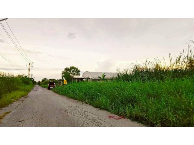 ขายที่ดินคลองเก้าธัญบุรี 140 ตรว(แบ่งได้) ติดถนนลาดยางสาธารณะ ซ. รพ.ส่งเสริมสุขภาพลำผักกูด จ.ปทุมธานี