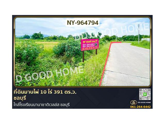 NY-964794 ที่ดินมาบไผ่ 10 ไร่ 391 ตร.ว. ชลบุรี ใกล้โรงเรียนนานาชาติเวลล์ส ชลบุรี