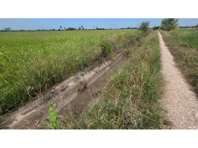 ขายที่ดิน 12 ไร่ ต.วัดพริก อ.เมือง จ.พิษณุโลก