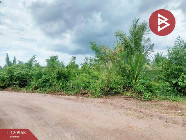 ขายที่ดิน เนื้อที่ 1 งาน 74.5 ตร.วา บางขันแตก สมุทรสงคราม